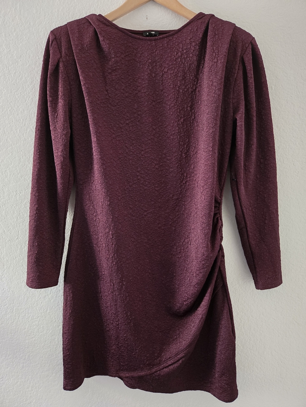 Express Plum Long Sleeve Ruched Side Mini Dress